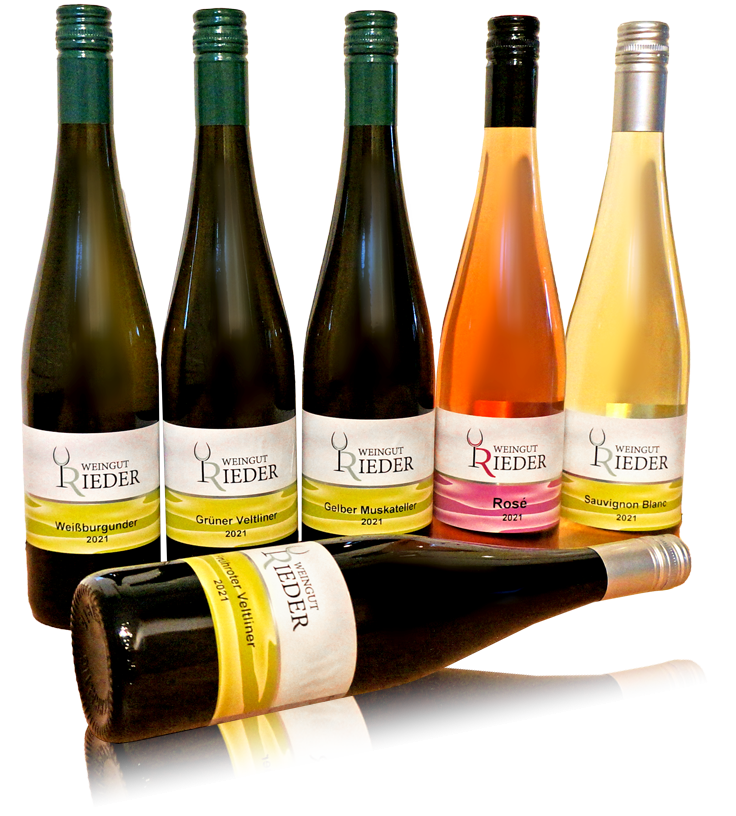 neue Weine aus dem Weinviertel zum Top Preis